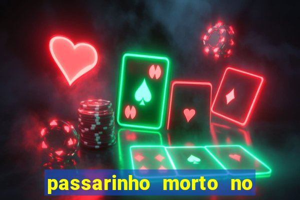 passarinho morto no quintal significado espiritual